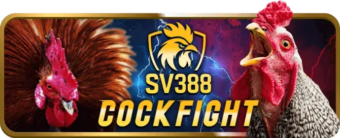 Cá cược quần vợt 6ffbet